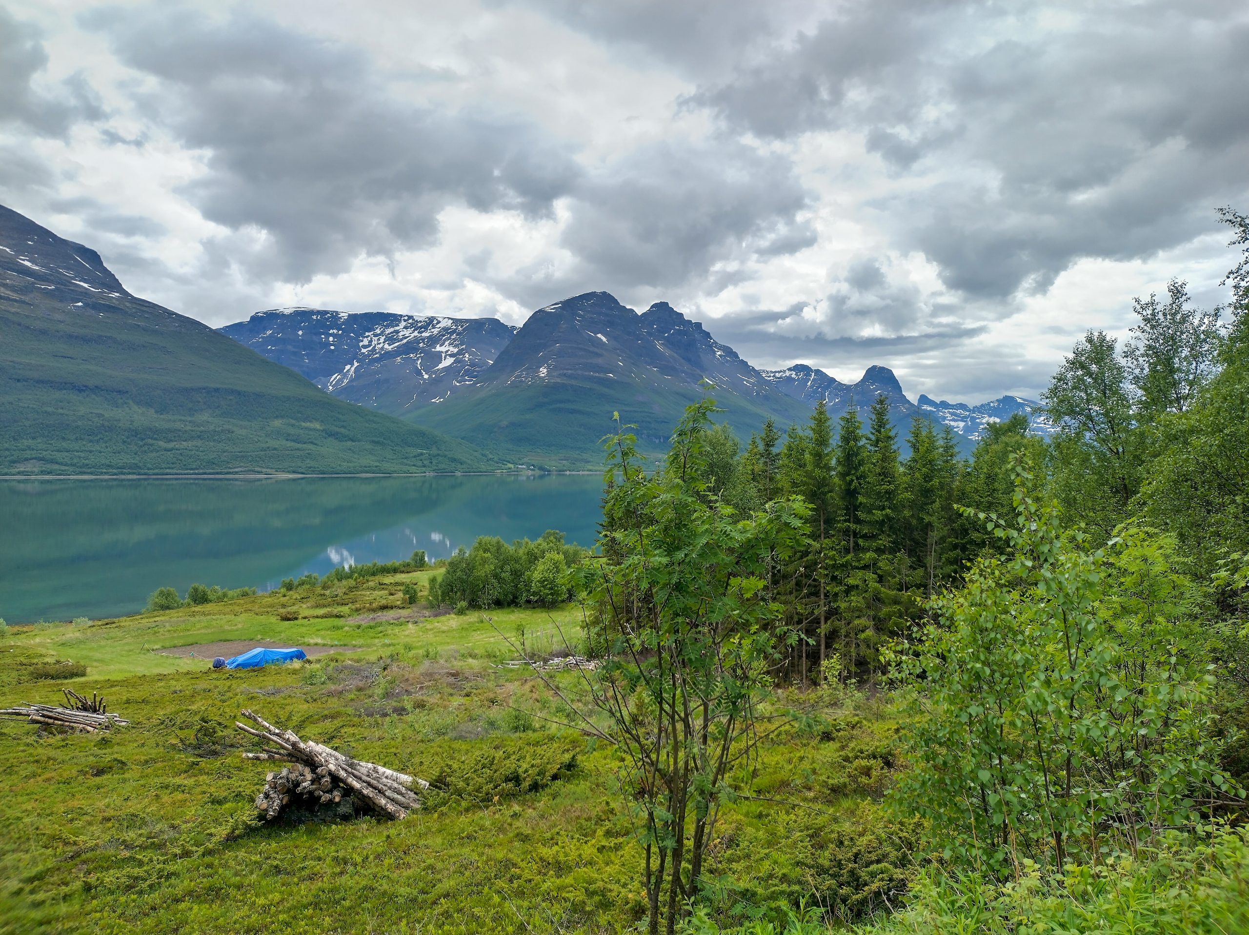 Fins Lapland Fins Lapland