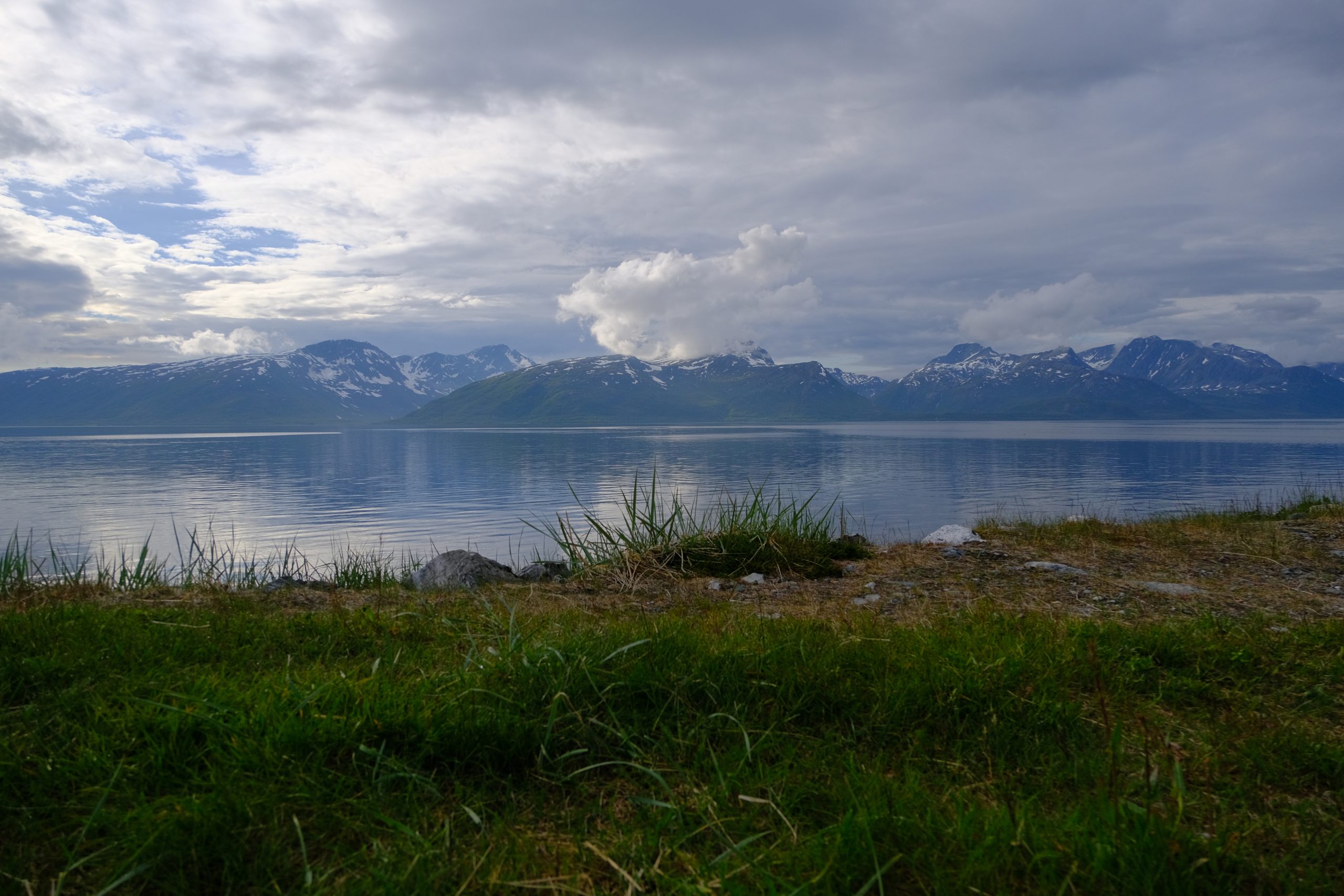 Fins Lapland Fins Lapland