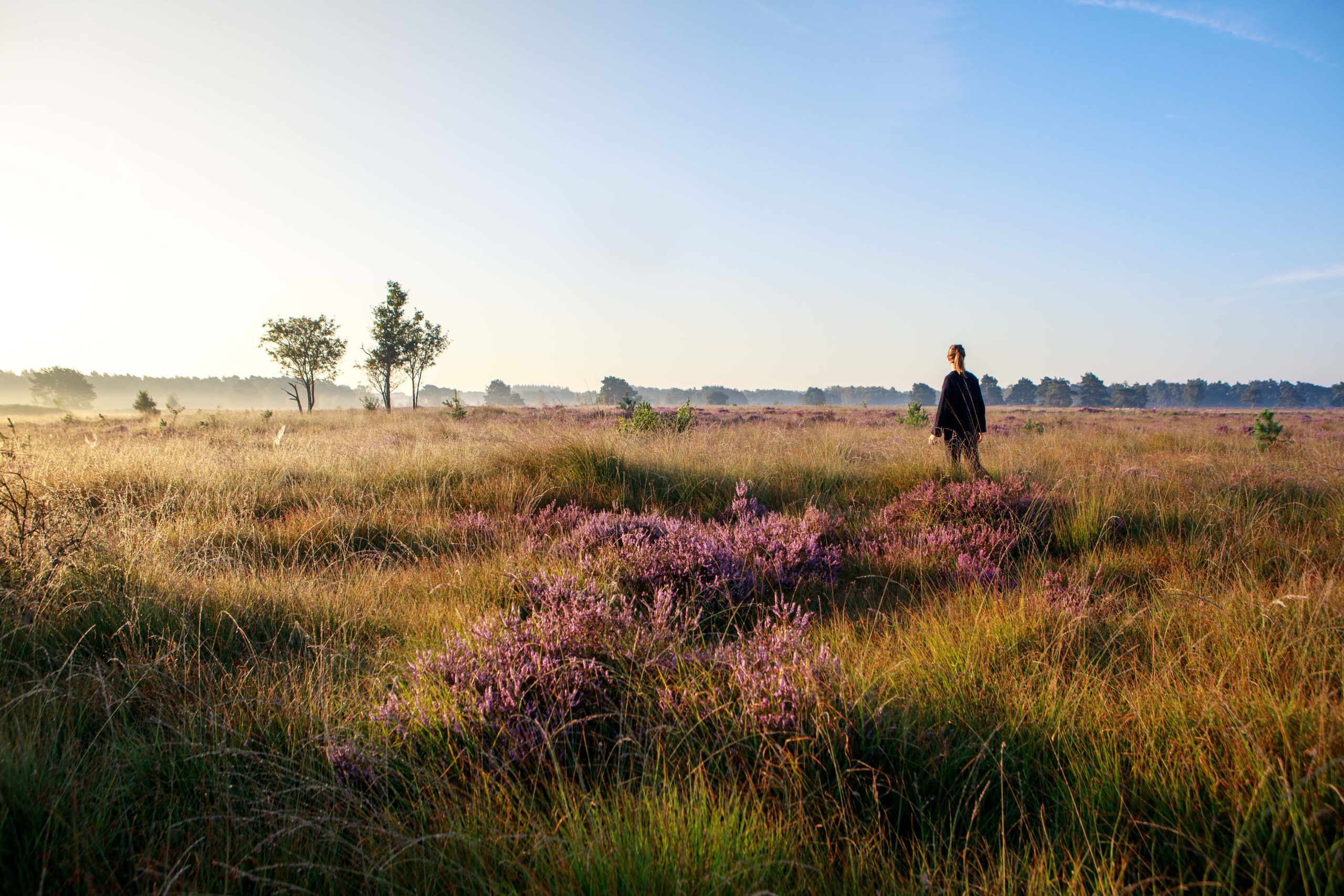 Oirschot lopen op de heide