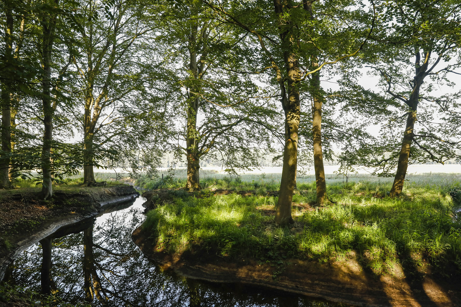 riviertje-de-beerze Oirschot Beerze river